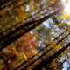 Image for article titled Shooting Challenge Freelensing Gallery 1